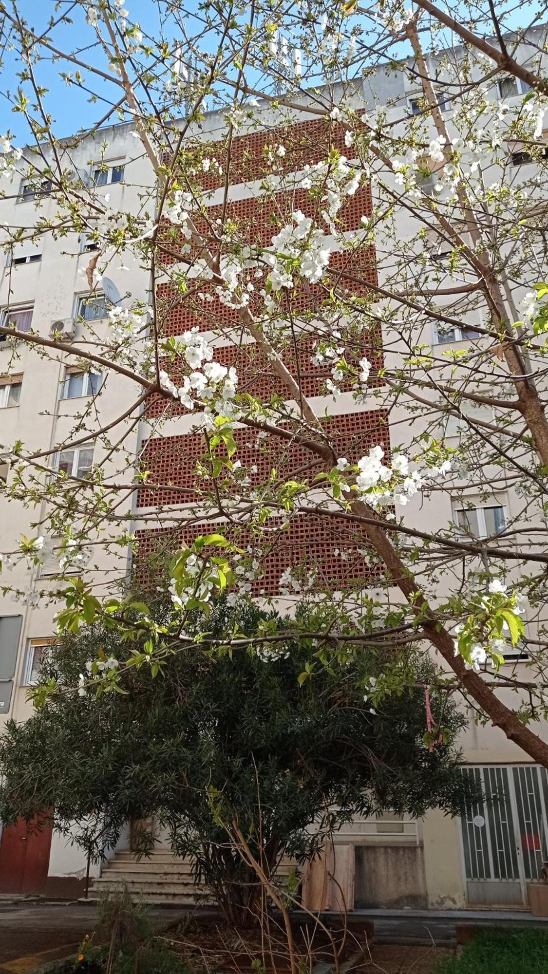Ferienwohnung App Letta Sunset Pula Exterior foto